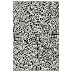 Sconto Koberec KOLIBRI 4 sivé drevo, 80x150 cm